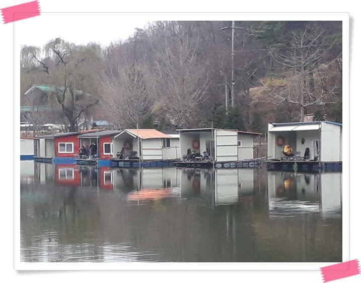 수곡낚시터 붕어낚시 조황 소식 4월 5일 (유료터정보 - 유료터점주조황)