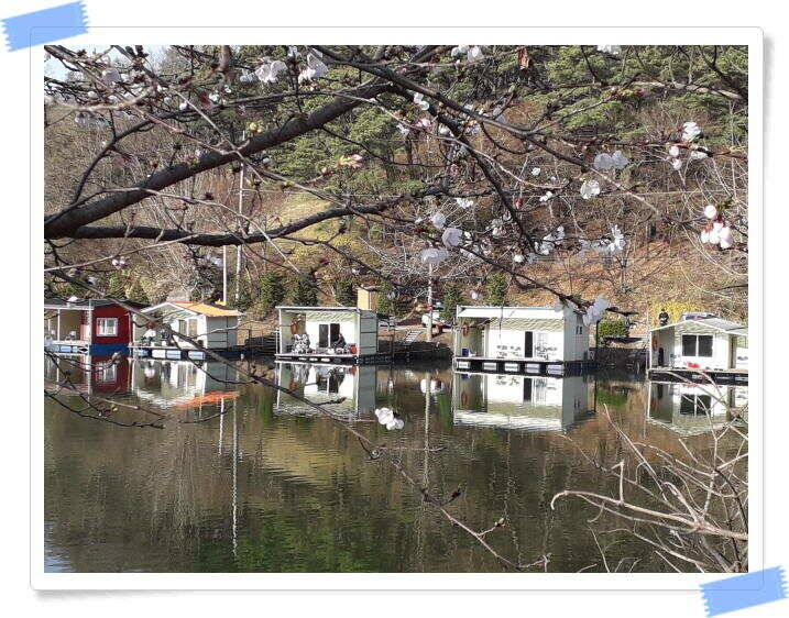 수곡낚시터 4월세째주 주중 조황 안내4월 16일 (유료터정보 - 유료터점주조황)