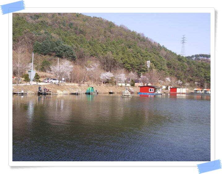 수곡낚시터 4월세째주 주중 조황 안내4월 16일 (유료터정보 - 유료터점주조황)