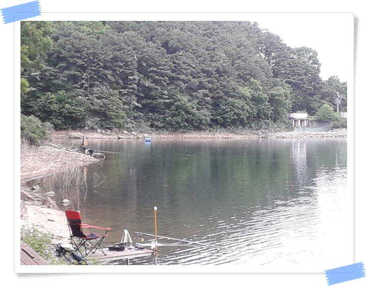 붕어낚시 양평 수곡낚시터 주말 조황 및 붕어 방류 안내 (유료터정보 - 유료터점주조황)