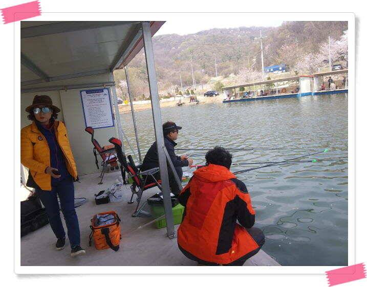 수곡낚시터 금요일토요일 조황 및 붕어 방류 (유료터정보 - 유료터점주조황)