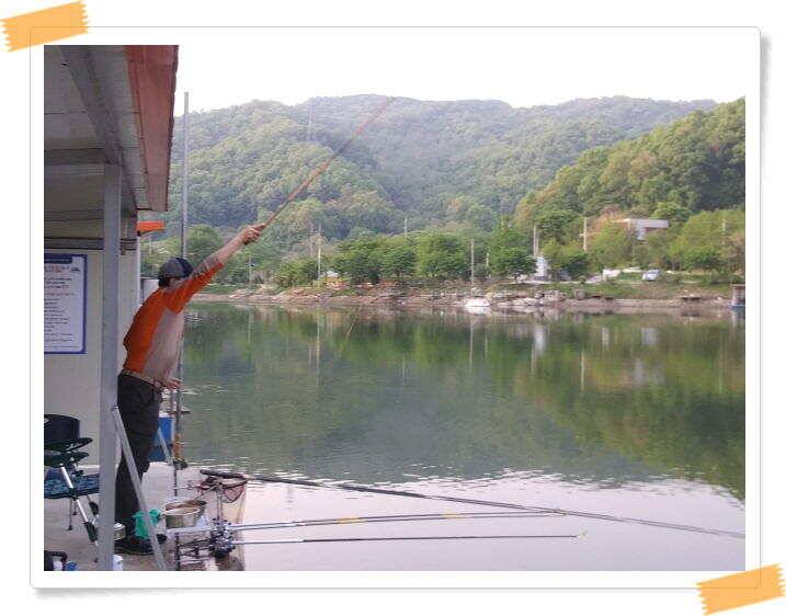 수곡낚시터 주말 및 일요일 조황 안내 (유료터정보 - 유료터점주조황)
