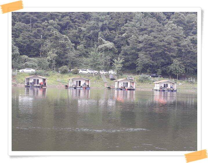 붕어낚시 양평 힐링 수곡낚시터 주말 조황 붕어방류 안내드립니다 (유료터정보 - 유료터점주조황)