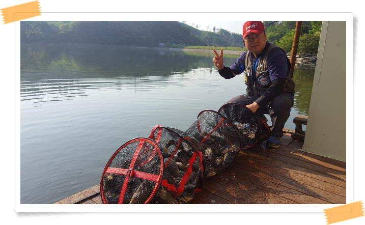 수곡 낚시터 대박조황이 또 나와주네요 오늘도 축양붕어 또 방류 마쳤습니다 (유료터정보 - 유료터점주조황)