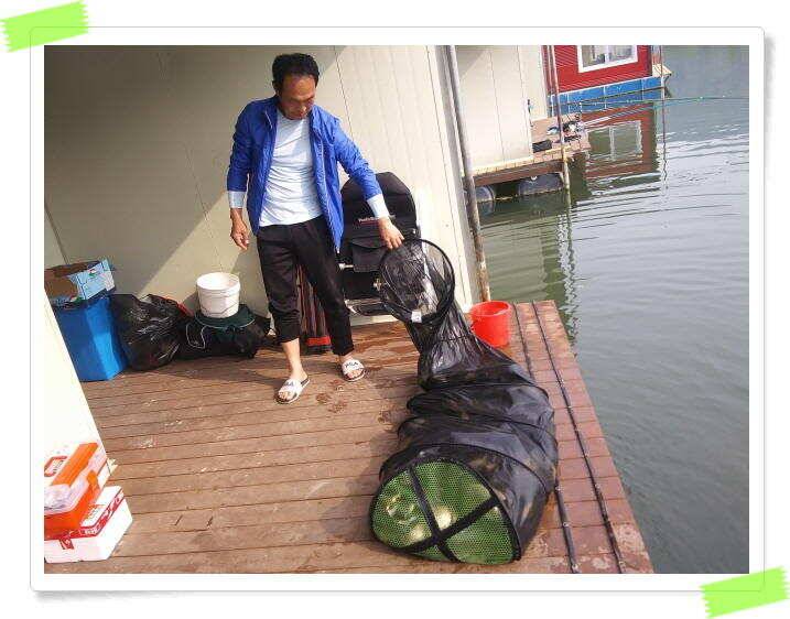 수곡낚시터 축양붕어 방류 주중5월15일 붕어 조황 잘 나와주고 있습니다 (유료터정보 - 유료터점주조황)