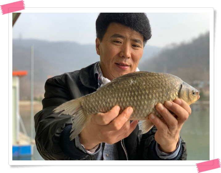 수곡낚시터 붕어 방류 및 조황 소식 (유료터정보 - 유료터점주조황)