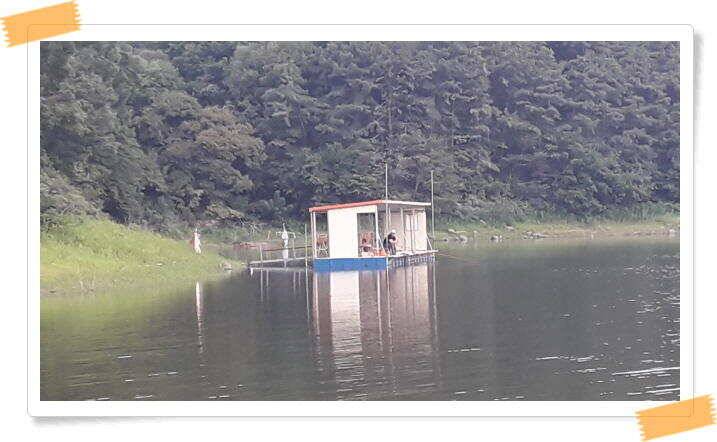양평 붕어낚시 수곡낚시터 오늘도 꾸준히 붕어들이 나와주며 오늘도 붕어 대량 방류 마쳤습니다 (유료터정보 - 유료터점주조황)