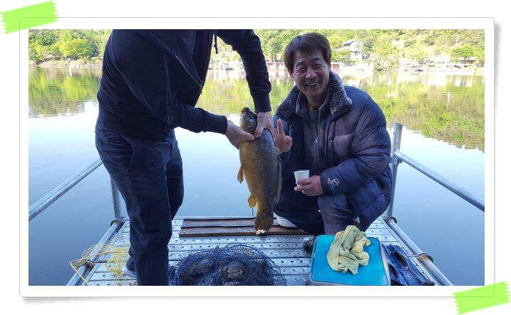 붕어낚시 수곡낚시터 연휴조황5월5일6일 잘 나오고 있습니다 (유료터정보 - 유료터점주조황)