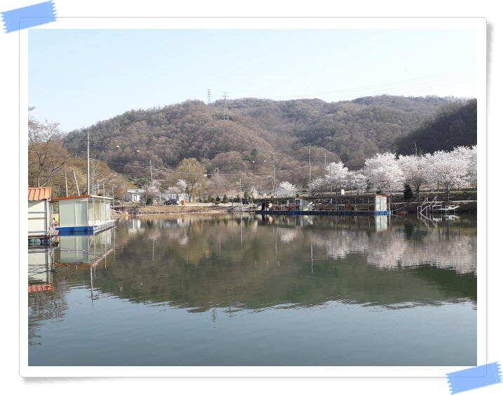 수곡낚시터 4월세째주 주중 조황 안내4월 16일 (유료터정보 - 유료터점주조황)