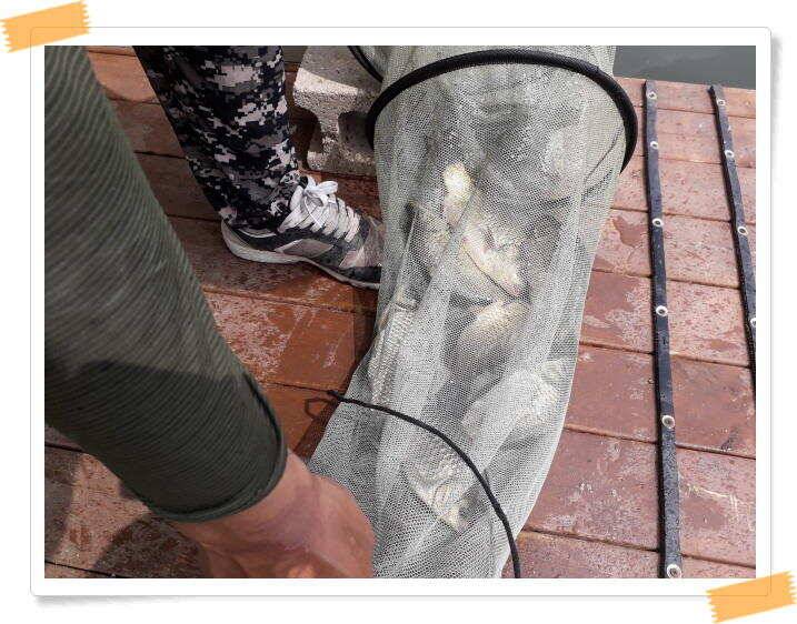 양평낚시터 힐링 수곡낚시터 주말조황 괜찬습니다 주말 붕어방류 조황안내 (유료터정보 - 유료터점주조황)