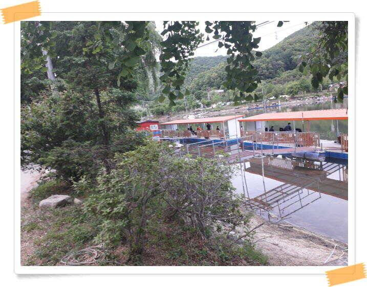 붕어낚시 수곡낚시터 고르게 꾸준히 잘 나와줍니다 토일요일 조황 (유료터정보 - 유료터점주조황)
