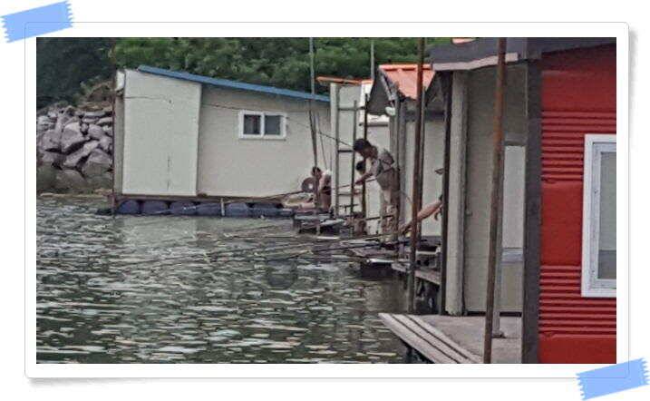 양평 수곡낚시터 주중 붕어조황 오늘도 고르고 꾸준한 조황이 이어지네요 오늘 붕어방류 마쳤습니다 (유료터정보 - 유료터점주조황)