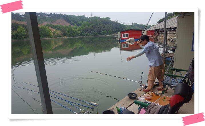 붕어낚시 수곡낚시터 연이은 붕어 대박조황5월18일 및 축양붕어 추가 방류 소식 (유료터정보 - 유료터점주조황)