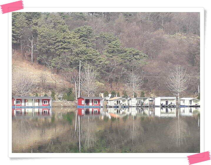 수곡낚시터 붕어조황 소식 4월 6일 (유료터정보 - 유료터점주조황)