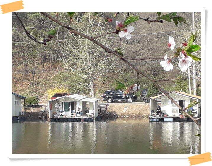 양평 수곡낚시터 주중 조황 및 축양붕어 방류 (유료터정보 - 유료터점주조황)