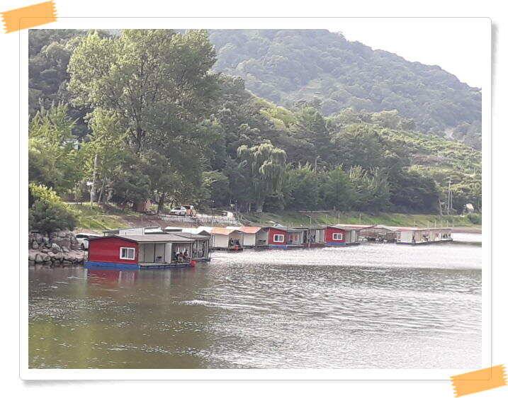 수곡낚시터 붕어조황 7월13일 더 좋은 조과가 이어집니다 오늘도 붕어방류 합니다 (유료터정보 - 유료터점주조황)