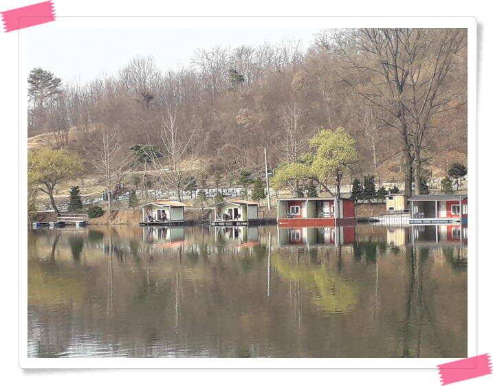 수곡낚시터 붕어조황 소식 4월 6일 (유료터정보 - 유료터점주조황)
