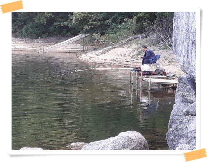 힐링 양평 수곡낚시터 오늘도 낮시간 붕어조황이 이어집니다 주말 조황 및 붕어방류 (유료터정보 - 유료터점주조황)