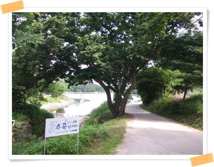 수곡낚시터 붕어낚시 조황 꾸준하게 나와줍니다 6월18일 조황 안내드립니다 (유료터정보 - 유료터점주조황)