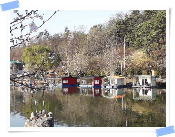 수곡낚시터 4월세째주 주중 조황 안내4월 16일 (유료터정보 - 유료터점주조황)