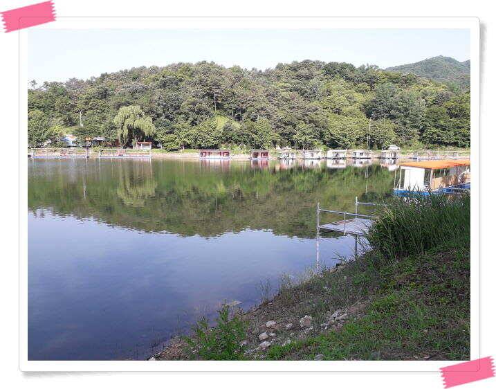 수곡낚시터 고르게 붕어조황이 나와주고 있습니다 (유료터정보 - 유료터점주조황)