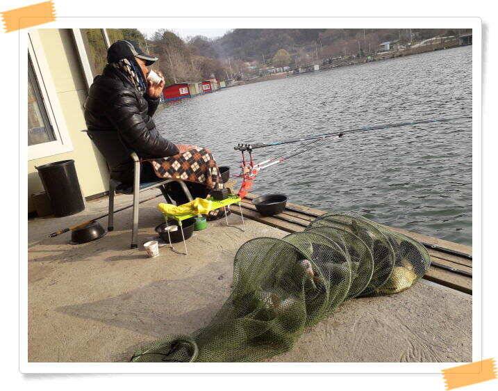 붕어낚시 수곡낚시터 주중 조황4월9일 안내 (유료터정보 - 유료터점주조황)