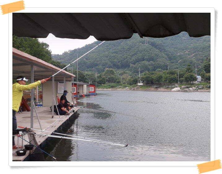 붕어낚시 양평 수곡 낚시터 일요일도 붕어낚시 조황 꾸준합니다 (유료터정보 - 유료터점주조황)