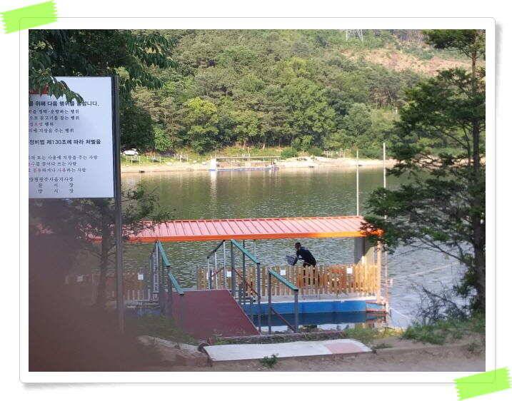 수곡낚시터 금일 붕어 방류 및 붕어조황 소식 6월25일 (유료터정보 - 유료터점주조황)