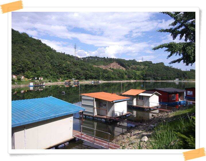 수곡낚시터 붕어낚시 조황 꾸준하게 나와줍니다 6월18일 조황 안내드립니다 (유료터정보 - 유료터점주조황)