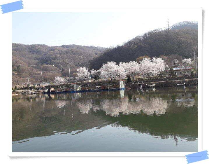 수곡낚시터 4월세째주 주중 조황 안내4월 16일 (유료터정보 - 유료터점주조황)