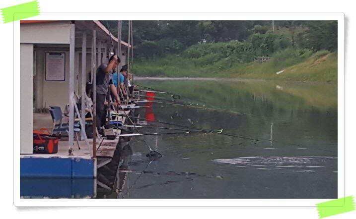 양평 수곡낚시터 주말 조황도 좋았으며 늦은밤 새벽시간에 더 좋았네요 (유료터정보 - 유료터점주조황)