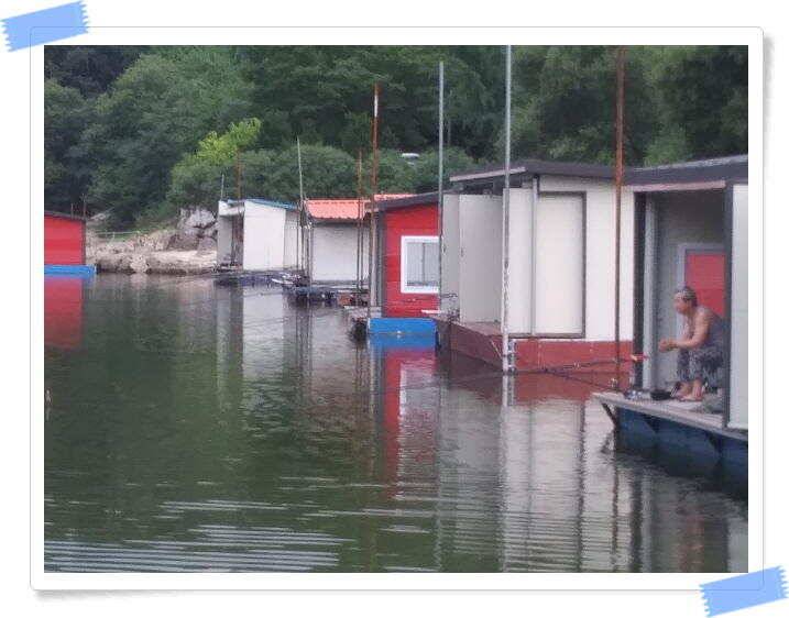 붕어낚시 힐링 양평 수곡낚시터 7월 25일 조황 및 붕어 방류 안내드립니다 (유료터정보 - 유료터점주조황)