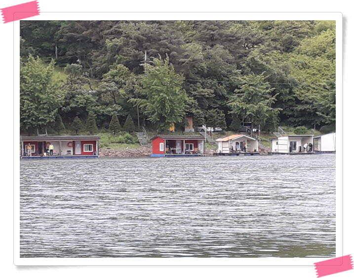 양평낚시터 붕어낚시 수곡낚시터 붕어 조황 꾸준히 잘 나와줍니다 오늘도 붕어 추가방류 합니다 (유료터정보 - 유료터점주조황)