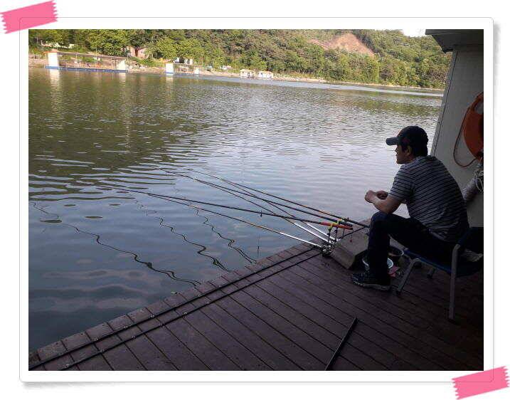 수곡 낚시터 대박조황이 또 나와주네요 오늘도 축양붕어 또 방류 마쳤습니다 (유료터정보 - 유료터점주조황)