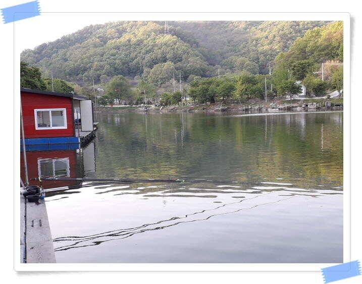 양평수곡낚시터 주중조황 5월8일 그래도 붕어들이 나와주네요 (유료터정보 - 유료터점주조황)