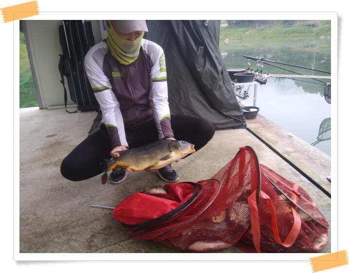 양평 수곡낚시터 주말 조황도 좋았으며 늦은밤 새벽시간에 더 좋았네요 (유료터정보 - 유료터점주조황)