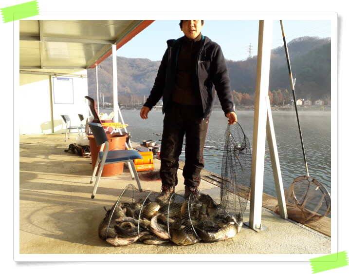 양평 수곡낚시터 주중 호조황및 좌대 사은 할인행사 안내 (유료터정보 - 유료터점주조황)