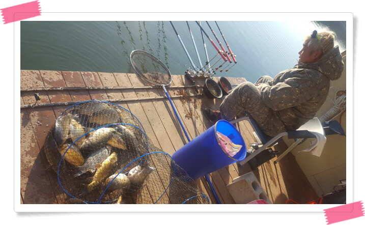 fish_pay_0b5e6_121703_66154.jpg