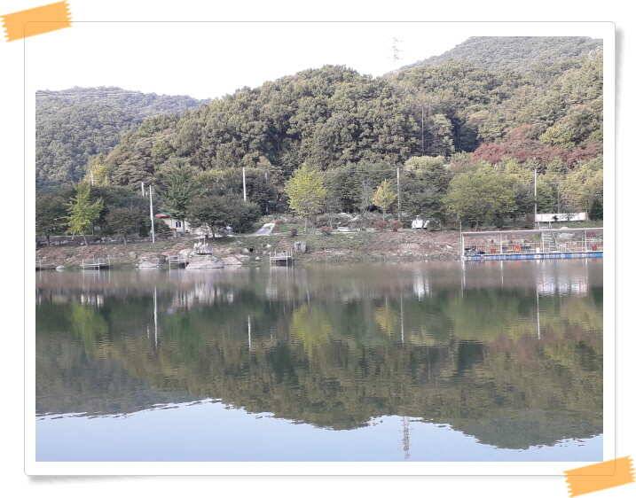 양평 수곡낚시터 10월 첫주 주중조황 안내 (유료터정보 - 유료터점주조황)