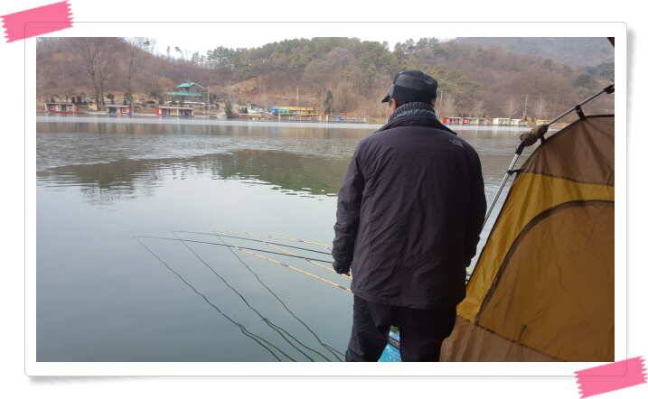 양평 수곡낚시터 주말 조황 및 수상좌대 할인 (유료터정보 - 유료터점주조황)