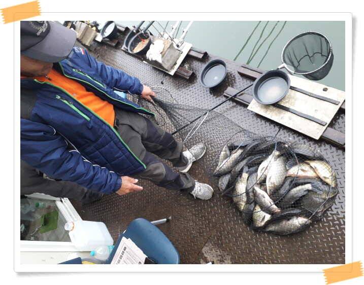 fish_pay_22c1b_021328_31472.jpg