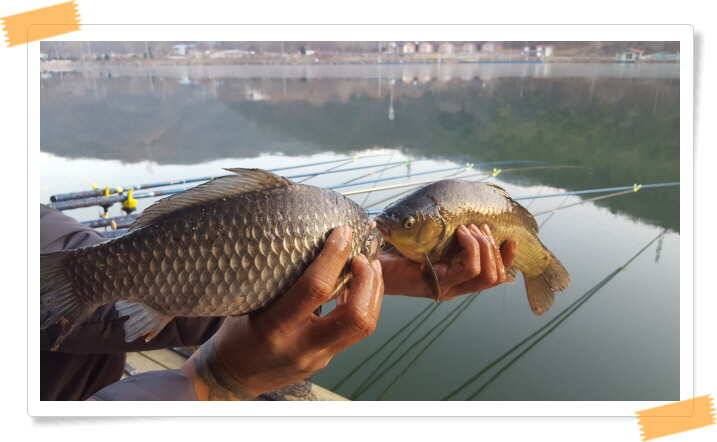fish_pay_2551a_052105_56313.jpg