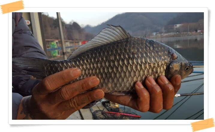 fish_pay_26730_052101_45976.jpg