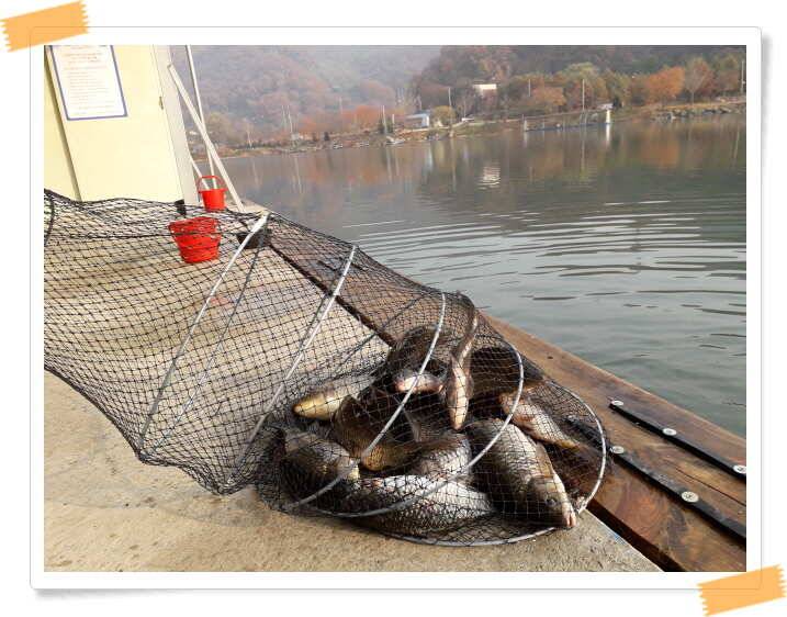 fish_pay_26c69_021407_42488.jpg