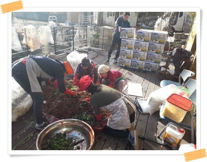 양평 수곡낚시터 주중 호조황및 좌대 사은 할인행사 안내 (유료터정보 - 유료터점주조황)