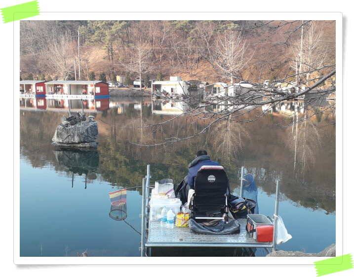 양평수곡낚시터 입어료 무료 쿠폰제 실시 및 주말주중후반 조황 (유료터정보 - 유료터점주조황)