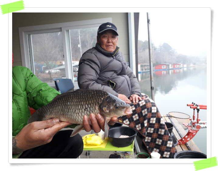 수곡낚시터 주중 붕어조황 좋으며 노지 포인트 조황도 조황도 좋습니다 (유료터정보 - 유료터점주조황)