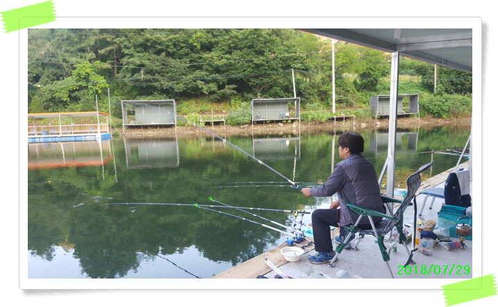 양평수곡낚시터 노지부교 신설 배치 및 조황정보 (유료터정보 - 유료터점주조황)