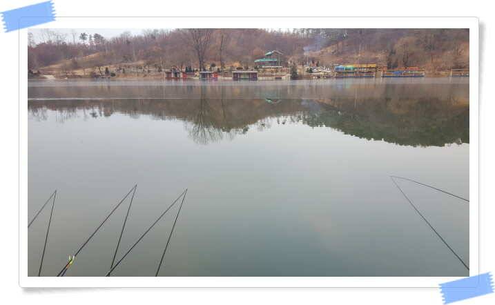 양평 수곡낚시터 주중조황 좋아지고 있으며 노지잔교 물낚시 가능합니다 (유료터정보 - 유료터점주조황)