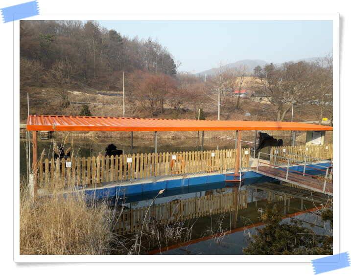 양평 수곡낚시터 3월 1일 조황 아주좋습니다 (유료터정보 - 유료터점주조황)